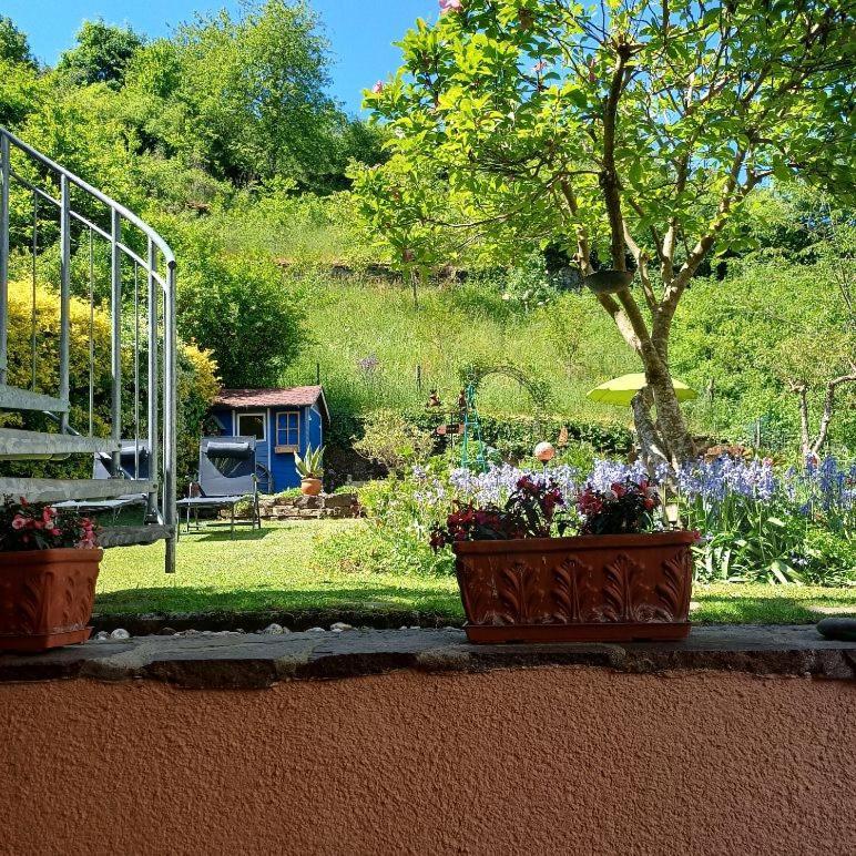 Ferienwohnung Haus Bleser Commune fusionnée de Cochem-Land Extérieur photo